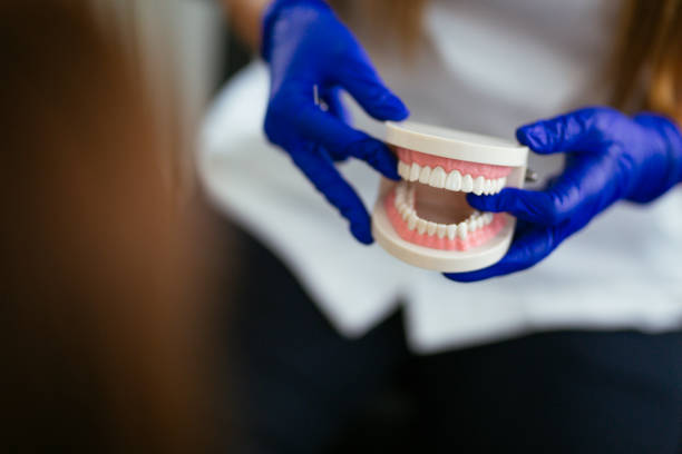 Best Dental Bonding  in Zumbrota, MN