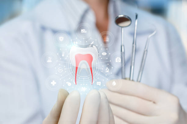 Best General Dentistry  in Zumbrota, MN